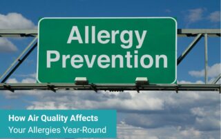 How Air Quality Affects Your Allergies Year-Round