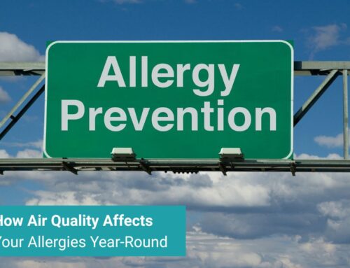 How Air Quality Affects Your Allergies Year-Round