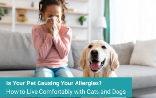 Is Your Pet Causing Your Allergies? How to Live Comfortably with Cats and Dogs