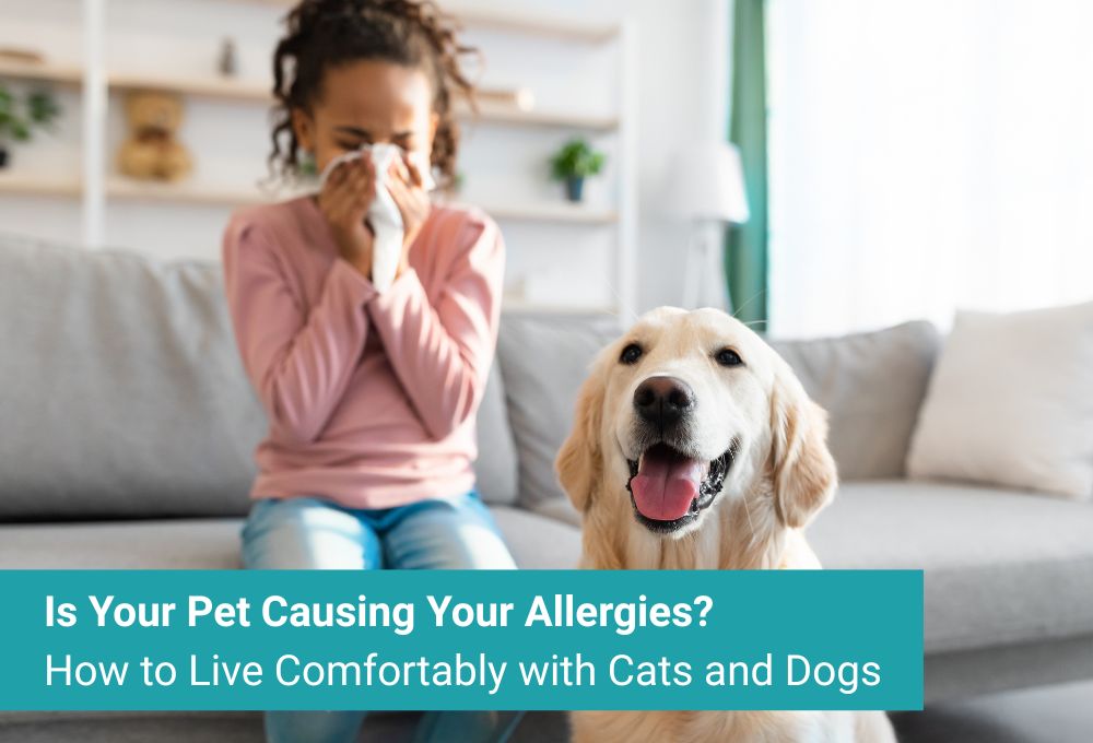 Is Your Pet Causing Your Allergies? How to Live Comfortably with Cats and Dogs
