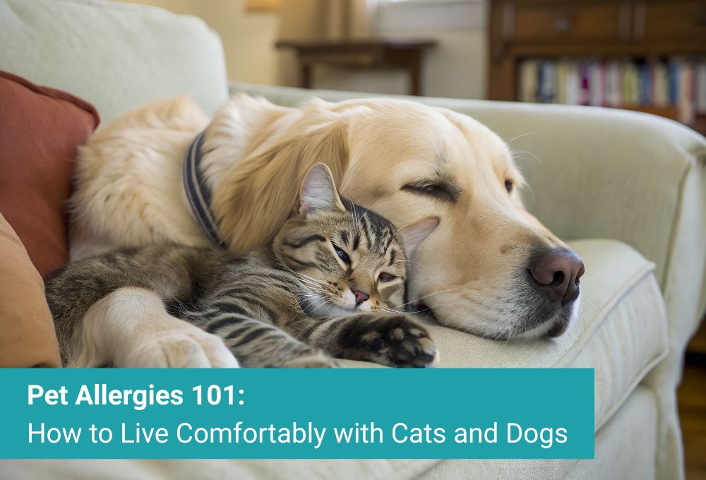 Pet Allergies 101: How to Live Comfortably with Cats and Dogs