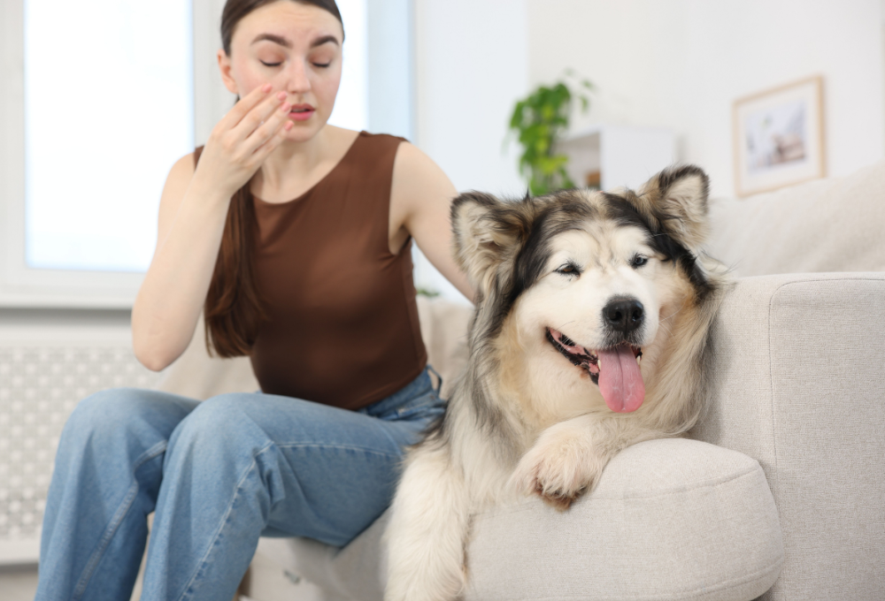 unnamed (1) Allergy Shot Treatment in North Las Vegas, NV