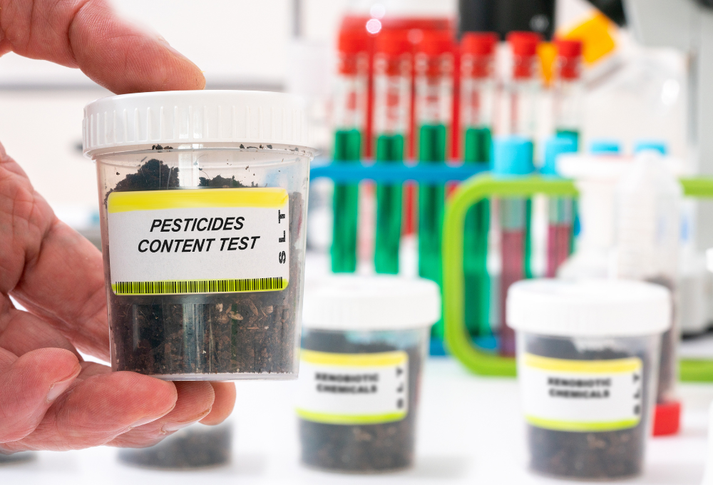 unnamed (1) Allergy Testing in Summerlin, NV